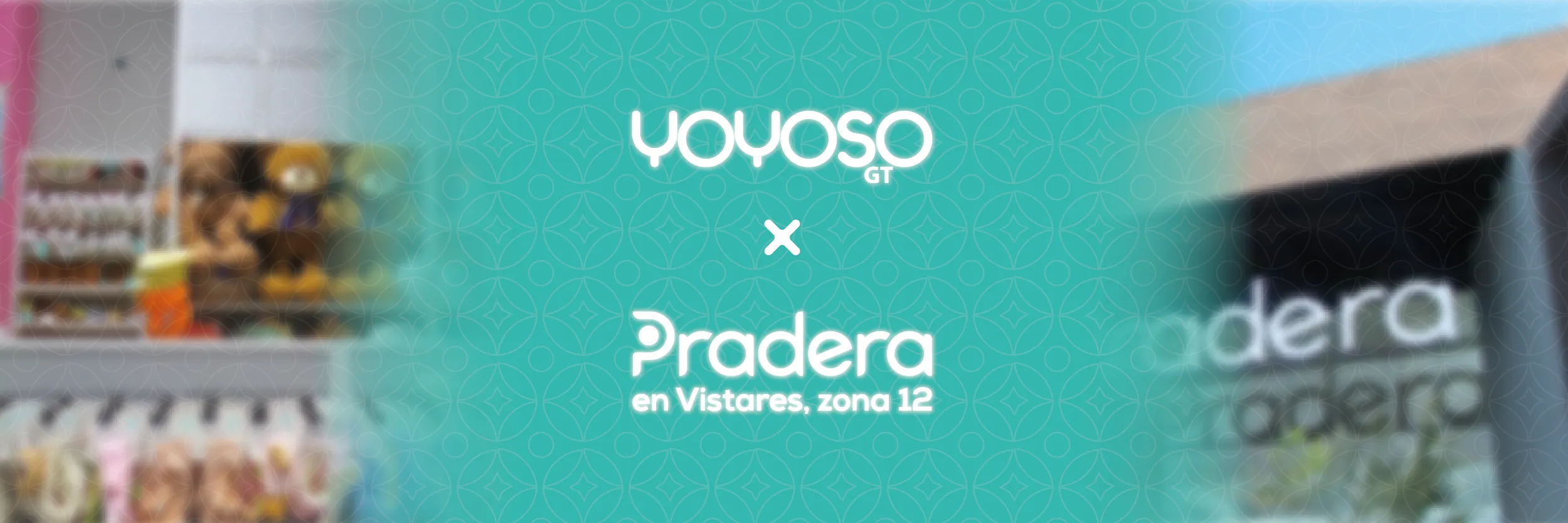 yoyoso x pradera